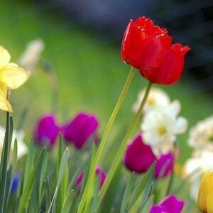 💐 shop for spring💐